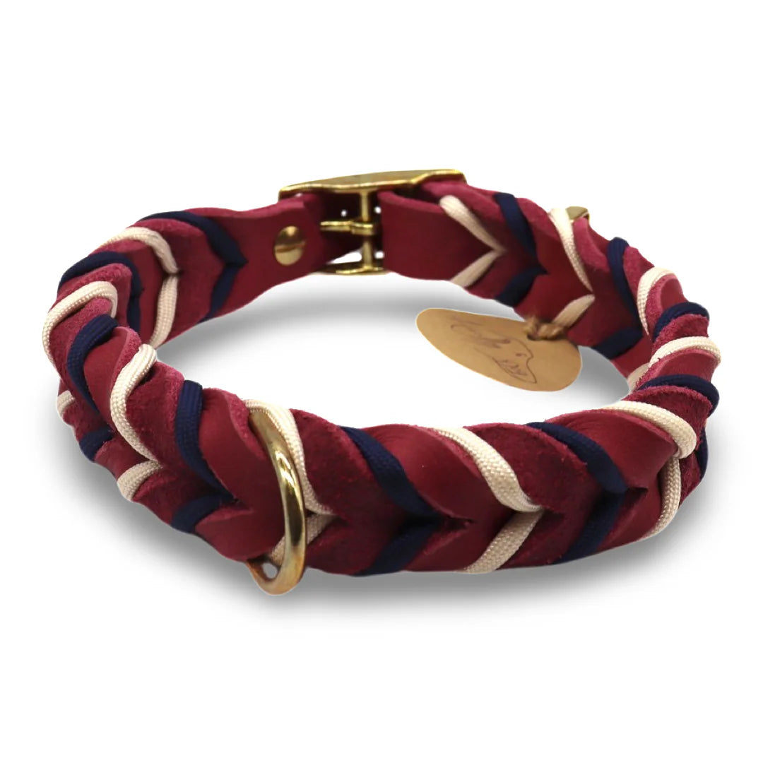 HealthyDog Hundehalsband Einzelstück 36cm