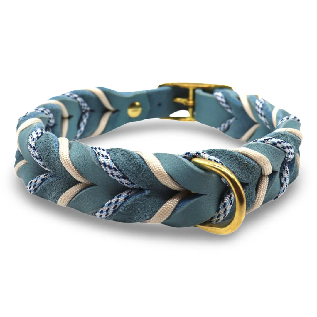 HealthyDog Hundehalsband Einzelstück 38cm