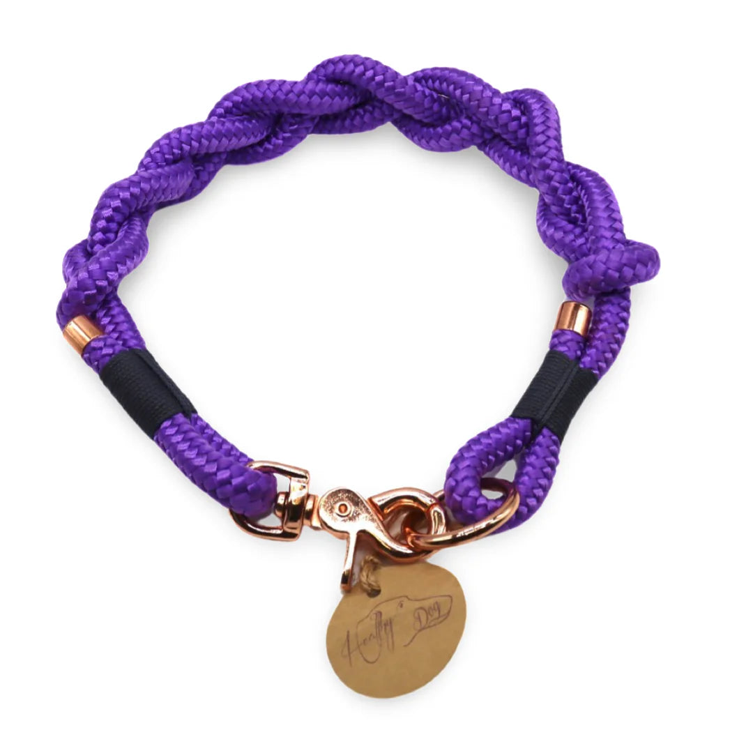 HealthyDog Hundehalsband Einzelstück 45cm