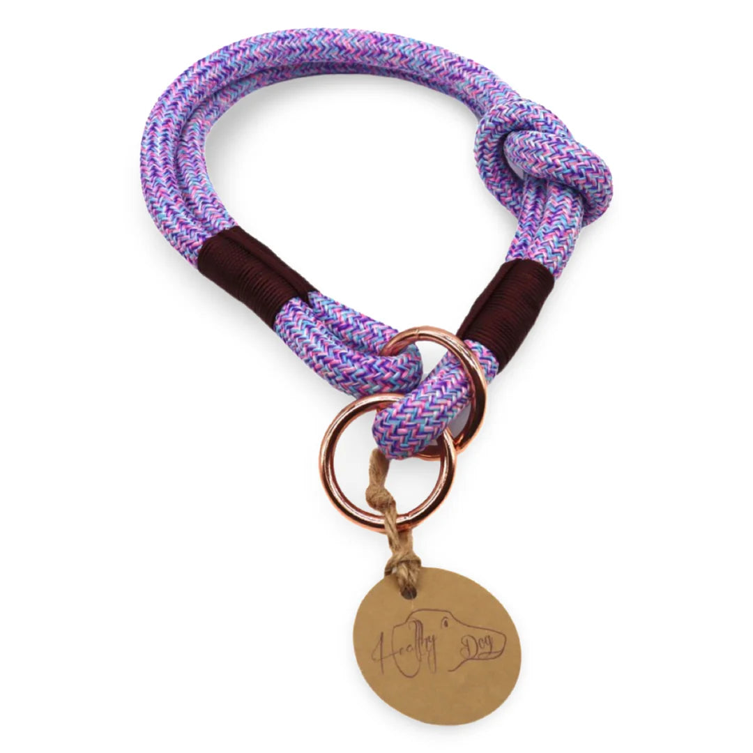 HealthyDog Hundehalsband Einzelstück 29cm