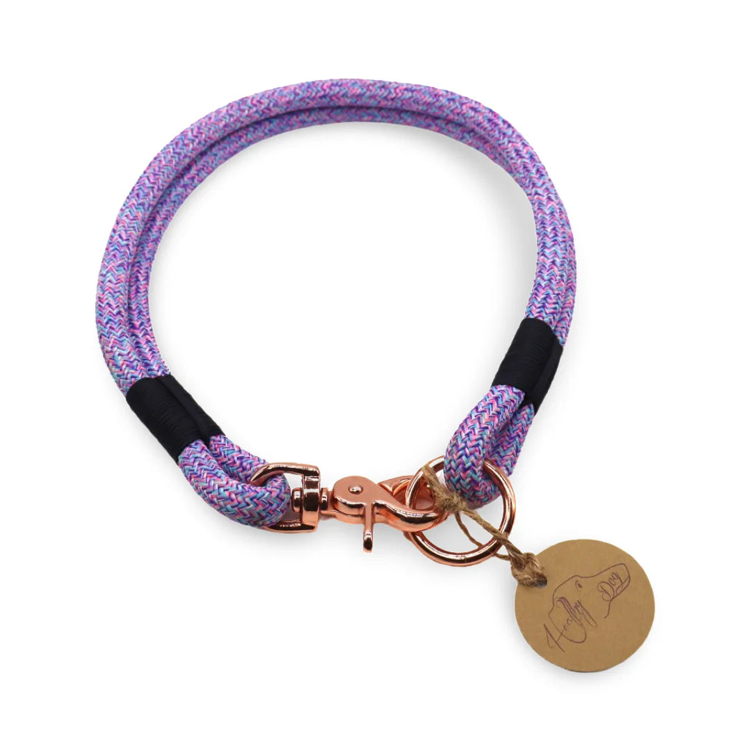 HealthyDog Halsband Einzelstück
