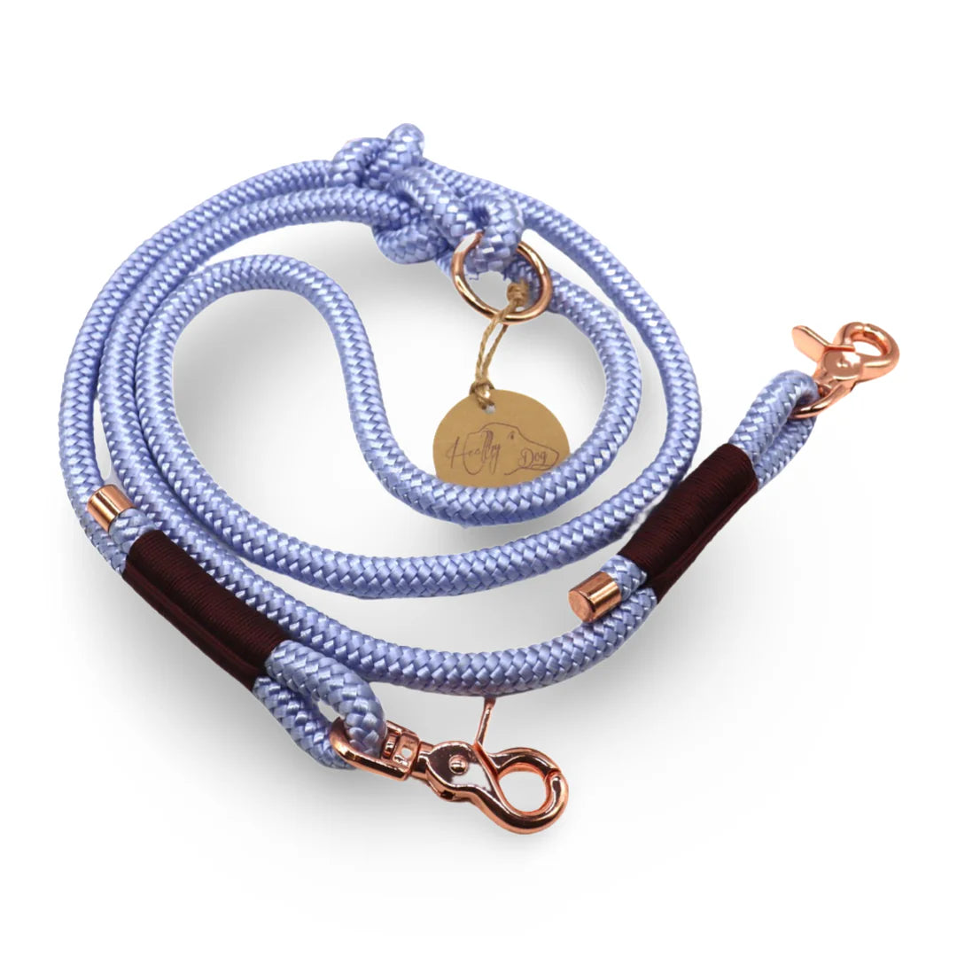HealthyDog Hundeleine Einzelstück