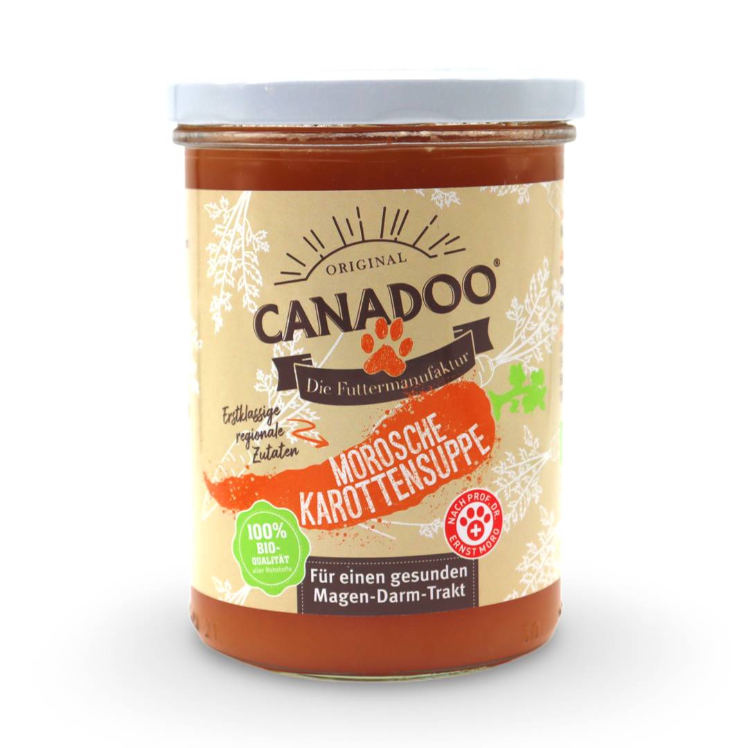Canadoo Morosche Karottensuppe