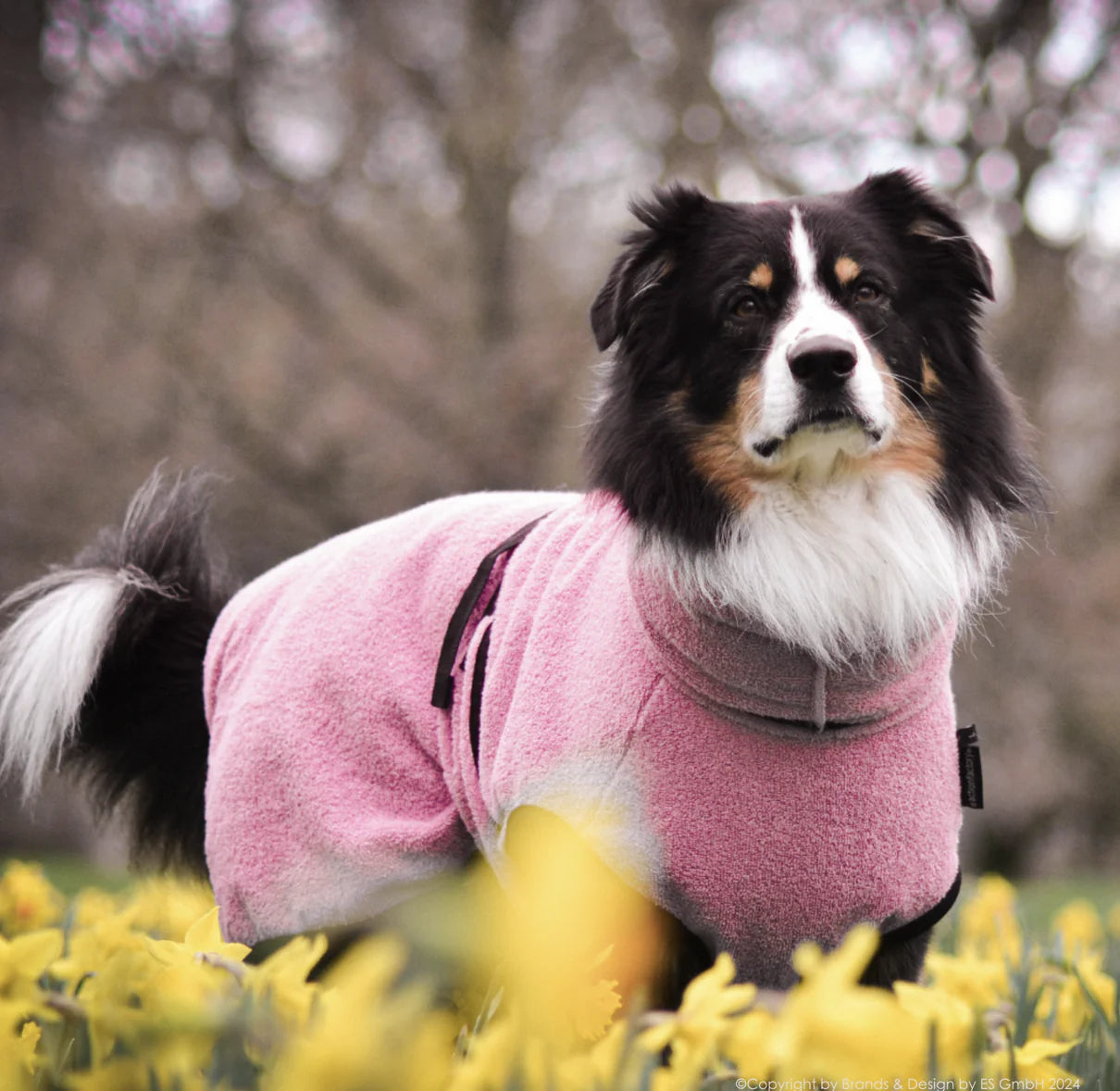 HealthyDog actionfactory dryup cape rosé