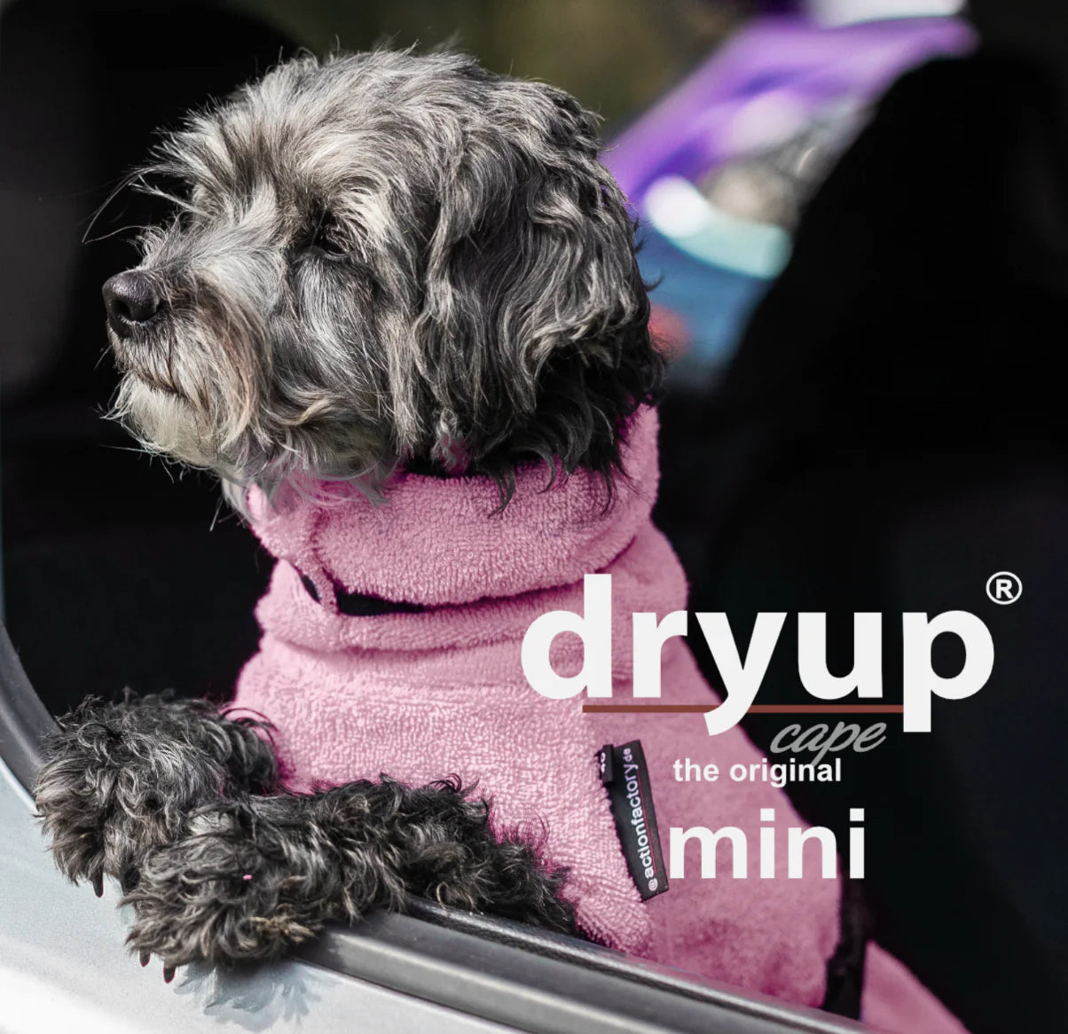 HealthyDog actionfactory dryup cape rosé