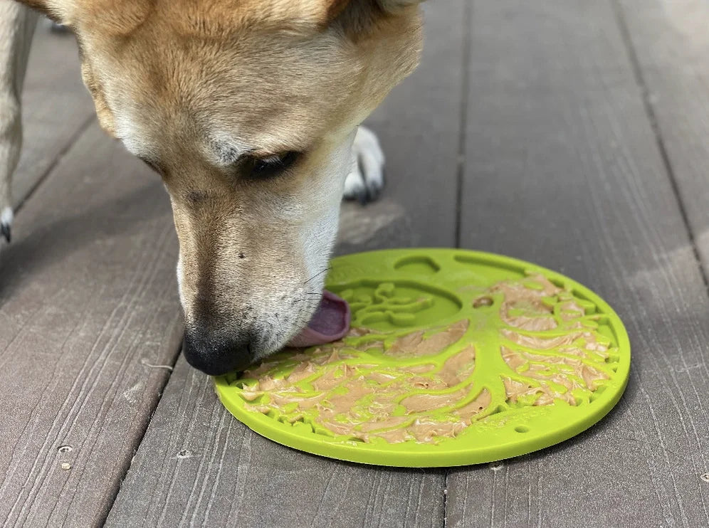 HealthyDog SodaPup Schleckmatte Lebensbaum