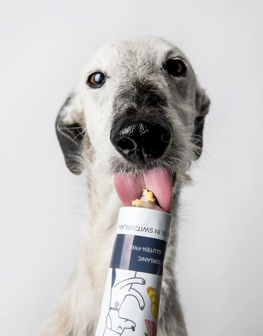 HealthyDog Loonawell Beef & Bacon Paté
