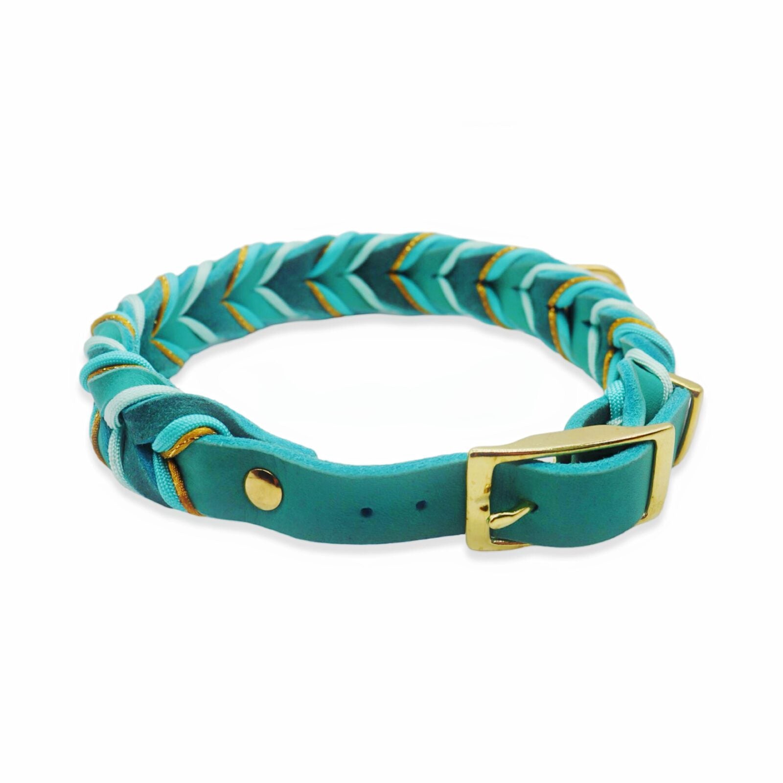 HealthyDog Hundehalsband «LOUIE»