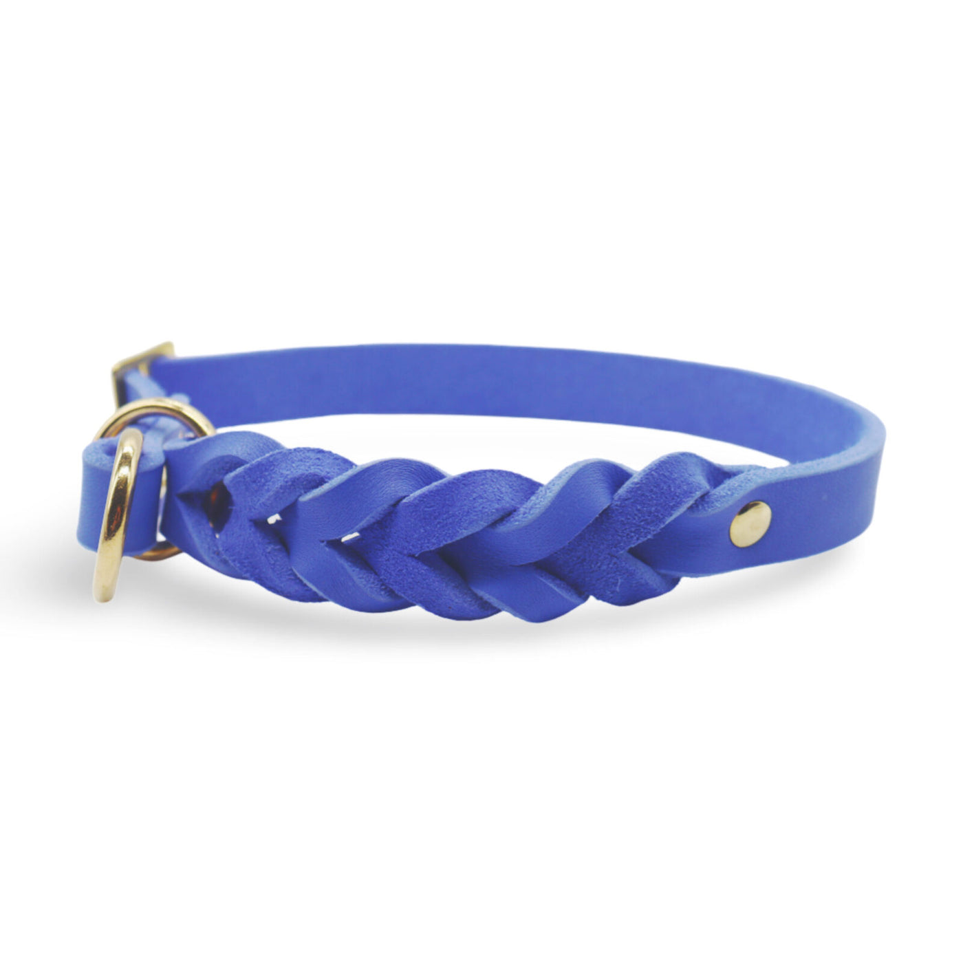HealthyDog Leder Zugstopp Halsband
