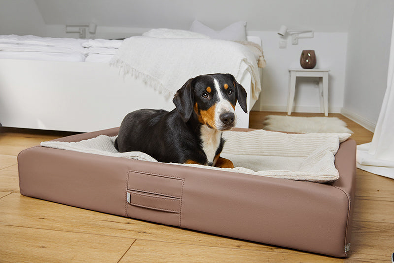 ammi for dogs® orthopädisches Hundebett ammi®Bed braun