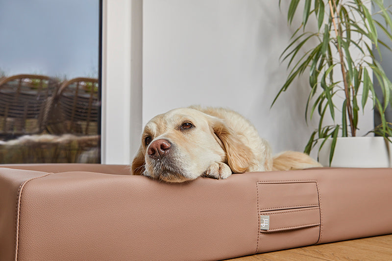 HealthyDog ammi for Dogs orthopädisches Hundebett Kunstleder braun