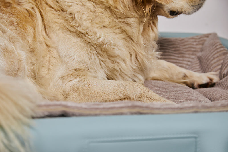 HealthyDog ammi for Dogs orthopädisches Hundebett Kunstleder softmint