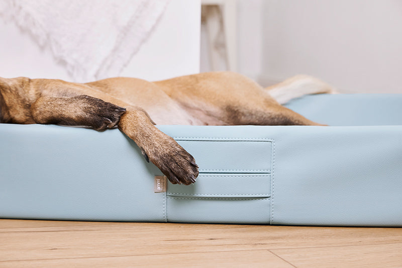 HealthyDog ammi for Dogs orthopädisches Hundebett Kunstleder softmint