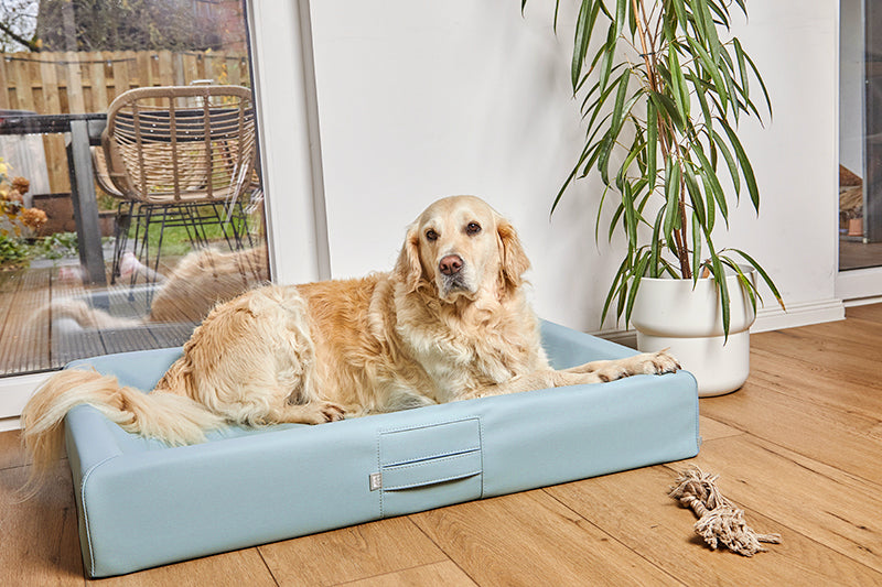 HealthyDog ammi for Dogs orthopädisches Hundebett Kunstleder softmint
