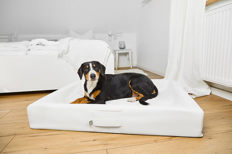 HealthyDog ammi for Dogs orthopädisches Hundebett Kunstleder weiss