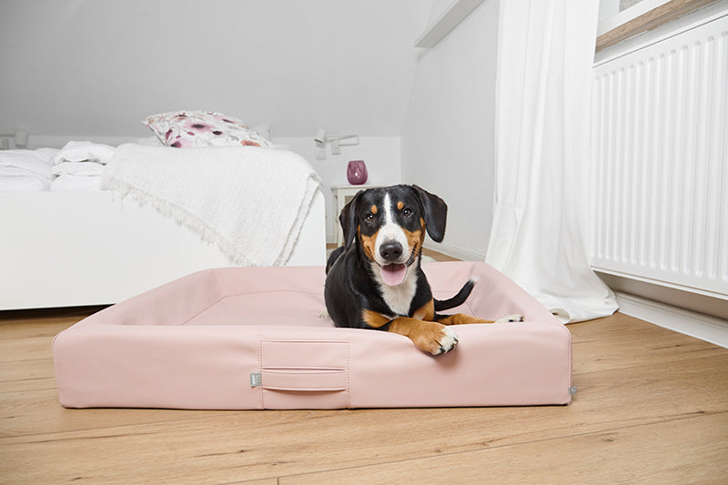 HealthyDog ammi for Dogs orthopädisches Hundebett Kunstleder softrosé