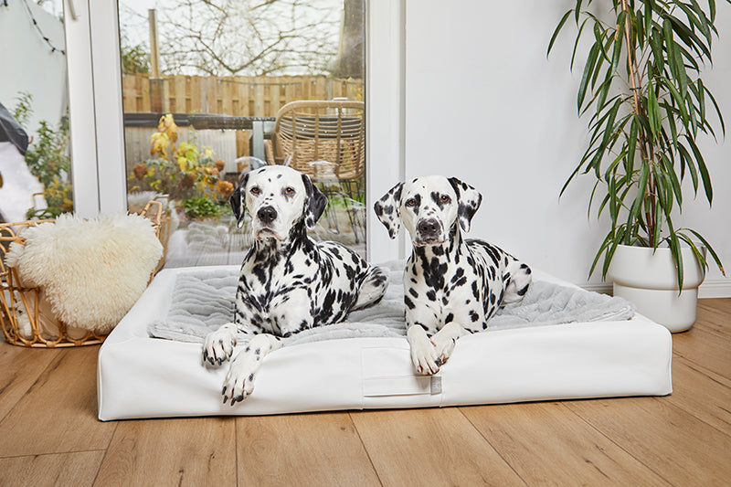 HealthyDog ammi for Dogs Liegekissen Plaid grau