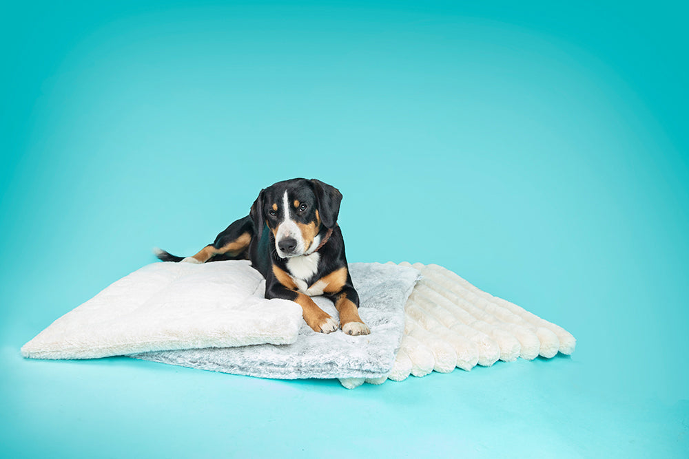 HealthyDog ammi for Dogs Liegekissen Plaid soft und hermelin