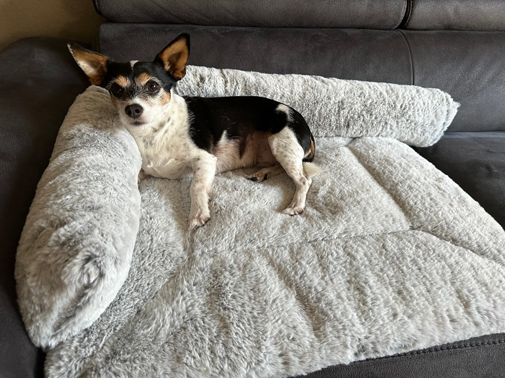 HealthyDog ammi for Dogs Kuschelwurst Hund Hermelin grau
