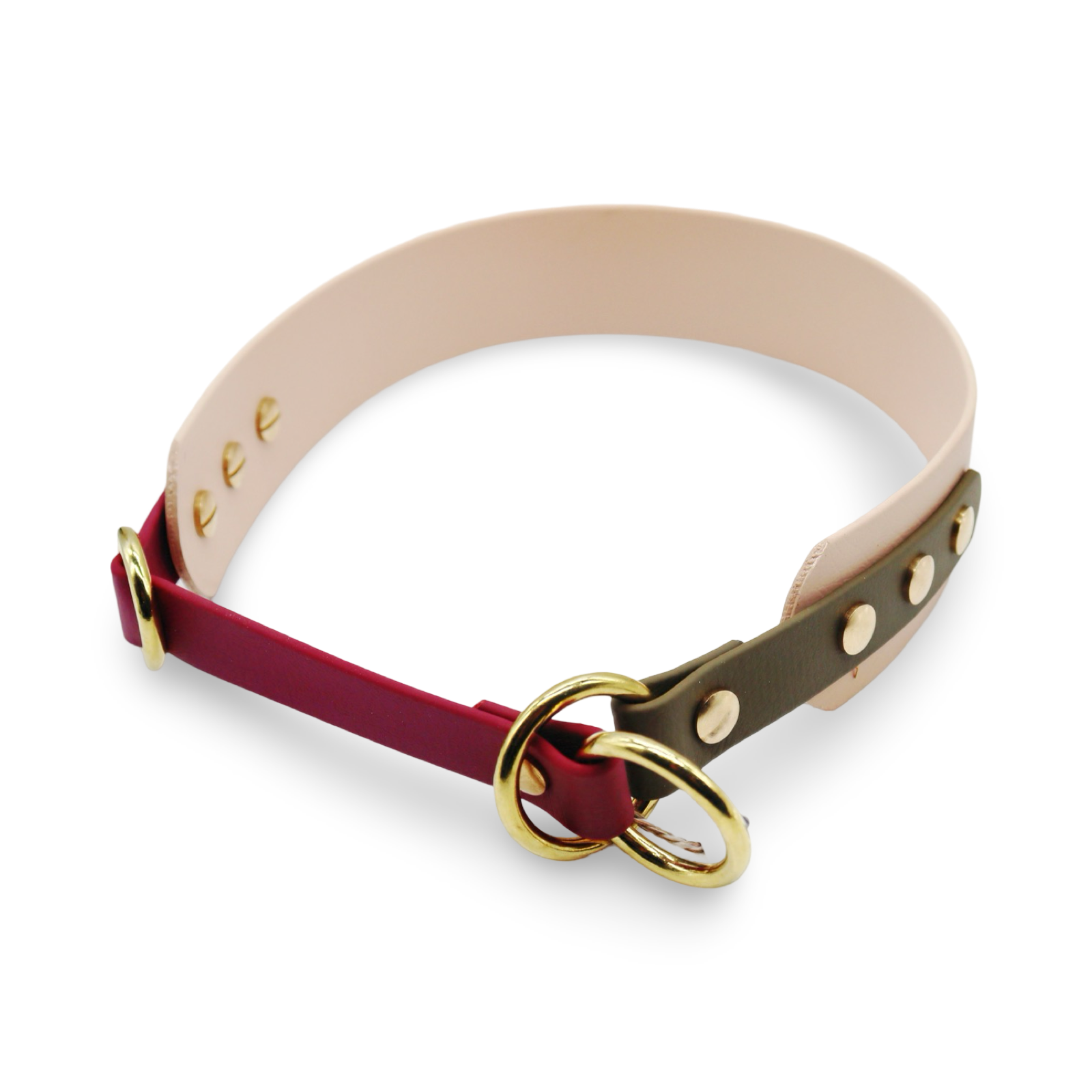 HealthyDog x KAHU Pawfect Match Hundehalsband Biothane "tan"