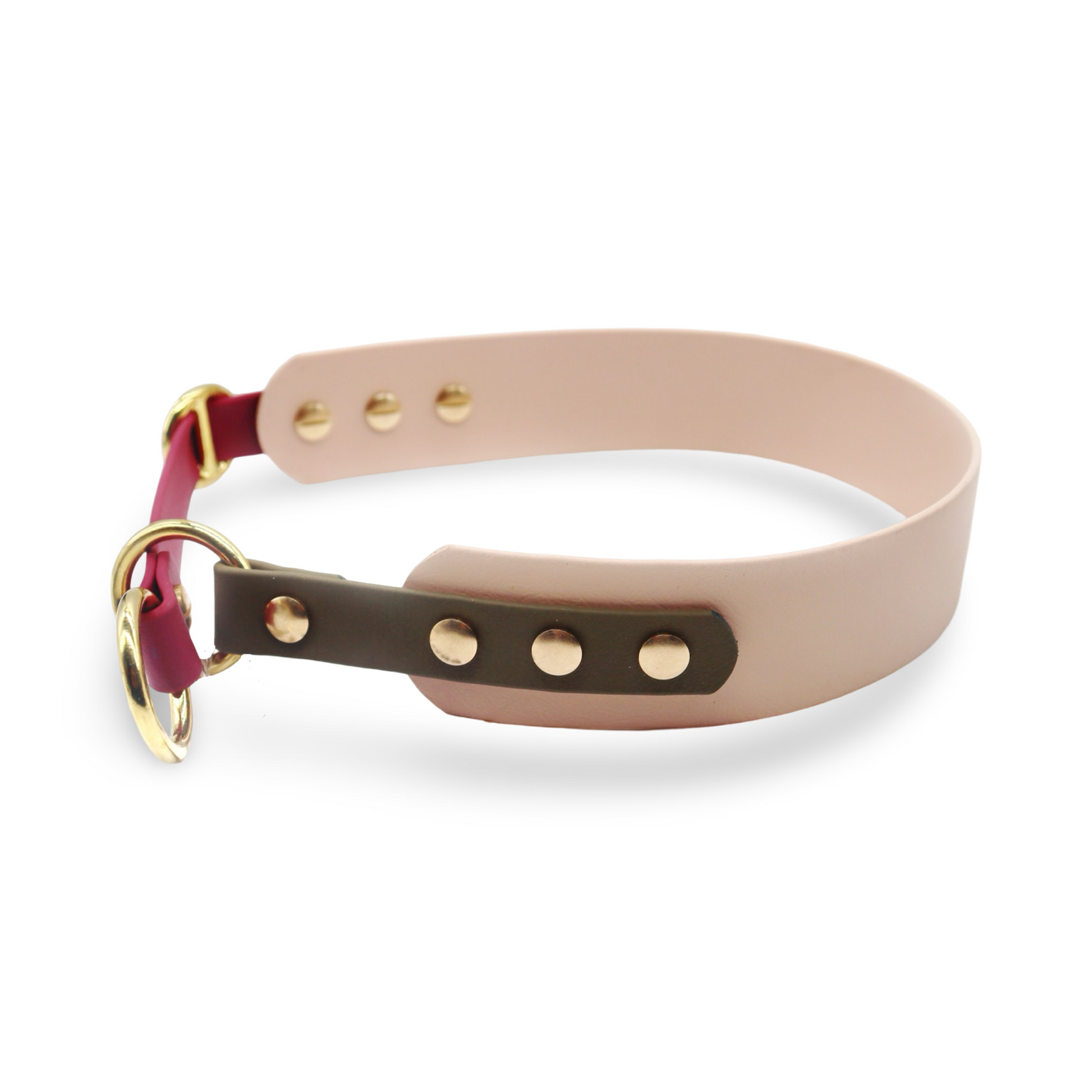HealthyDog x KAHU Pawfect Match Hundehalsband Biothane "tan"