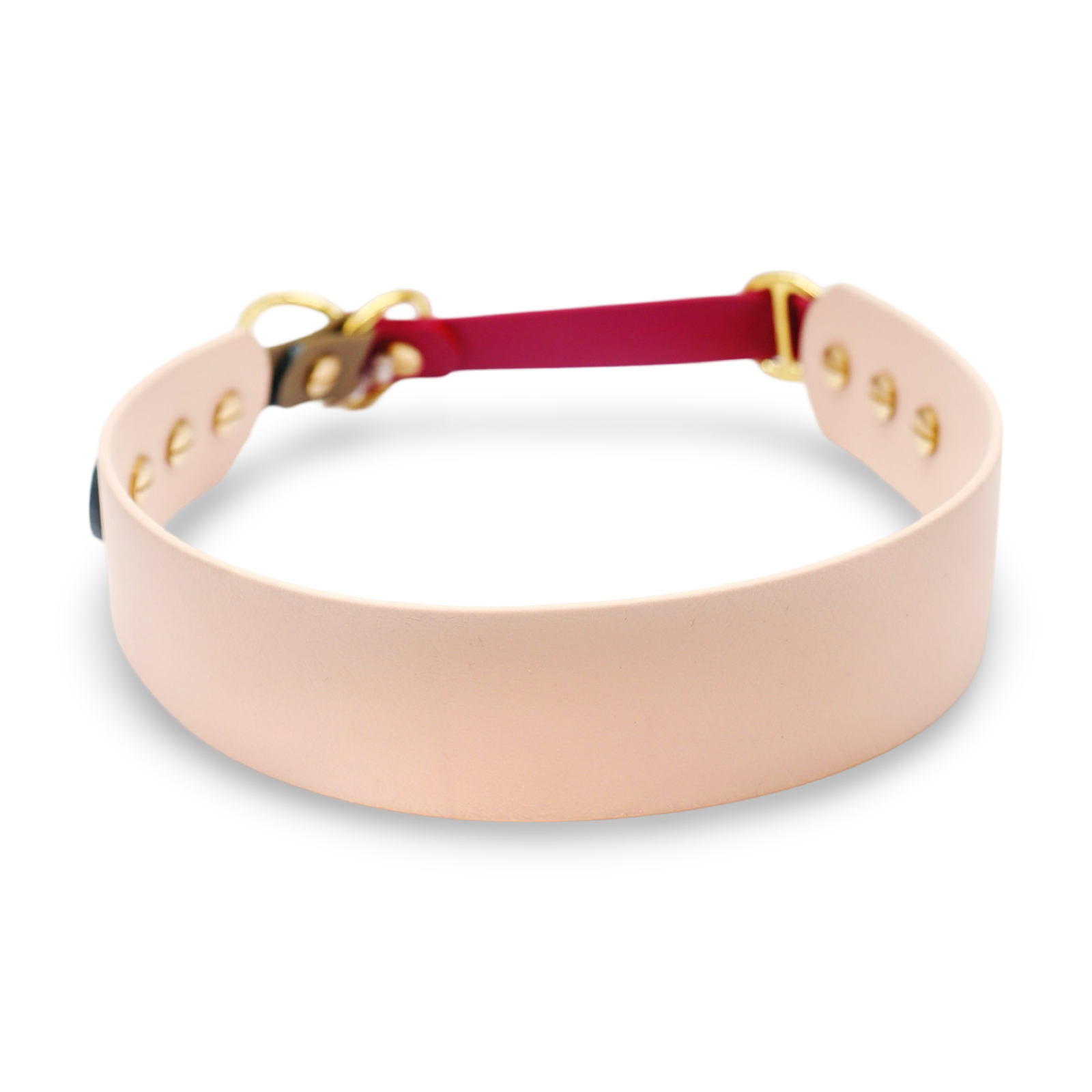 HealthyDog x KAHU Pawfect Match Hundehalsband Biothane "tan"
