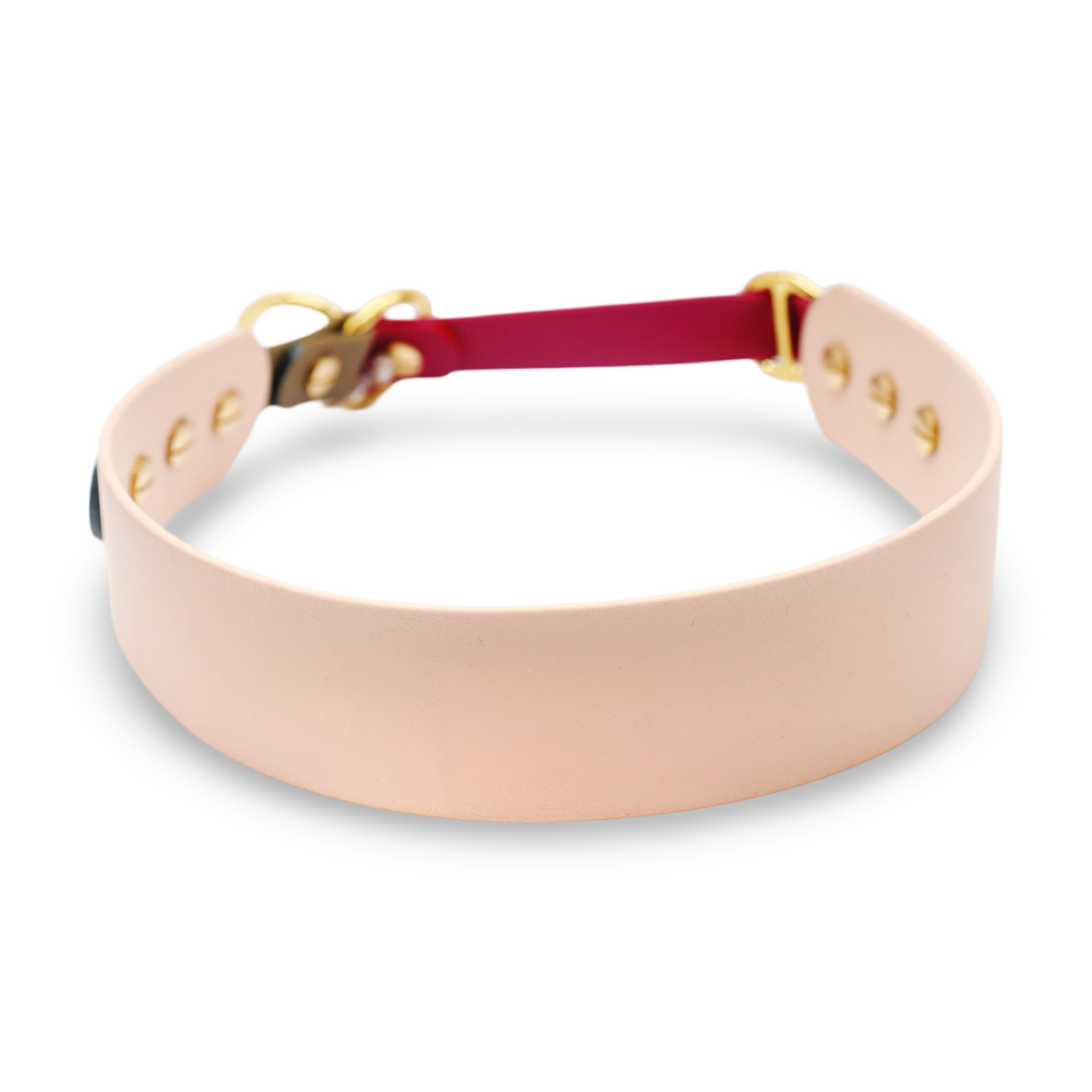 HealthyDog x KAHU Pawfect Match Hundehalsband Biothane "tan"