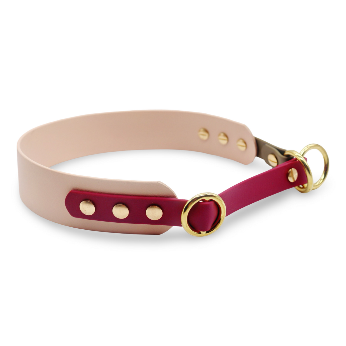 HealthyDog x KAHU Pawfect Match Hundehalsband Biothane "tan"