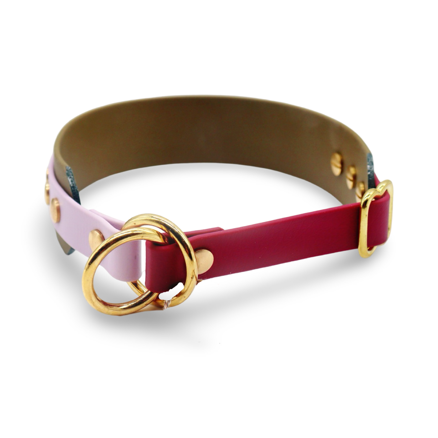 HealthyDog x KAHU Pawfect Match Hundehalsband Biothane "oliv"