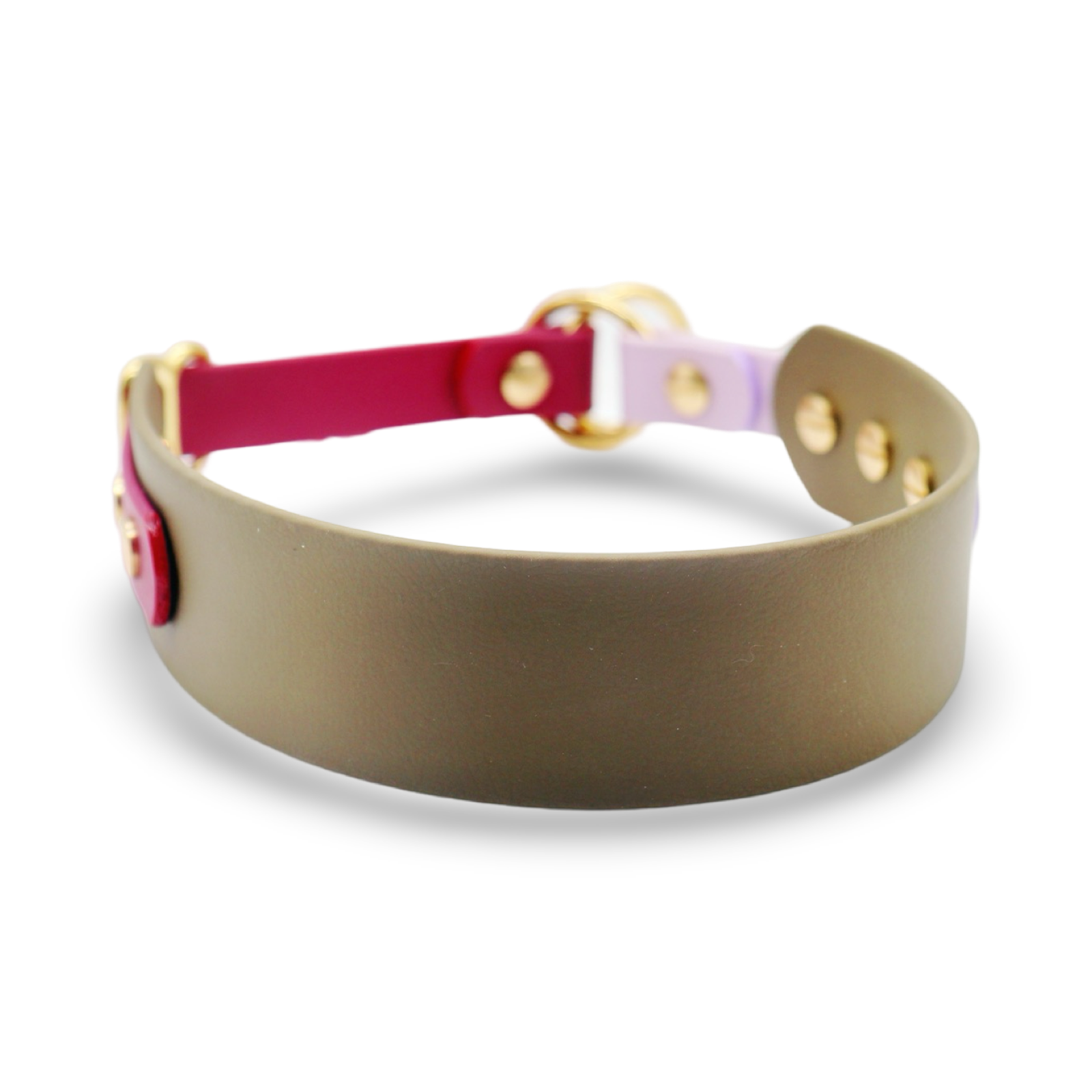 HealthyDog x KAHU Pawfect Match Hundehalsband Biothane "oliv"