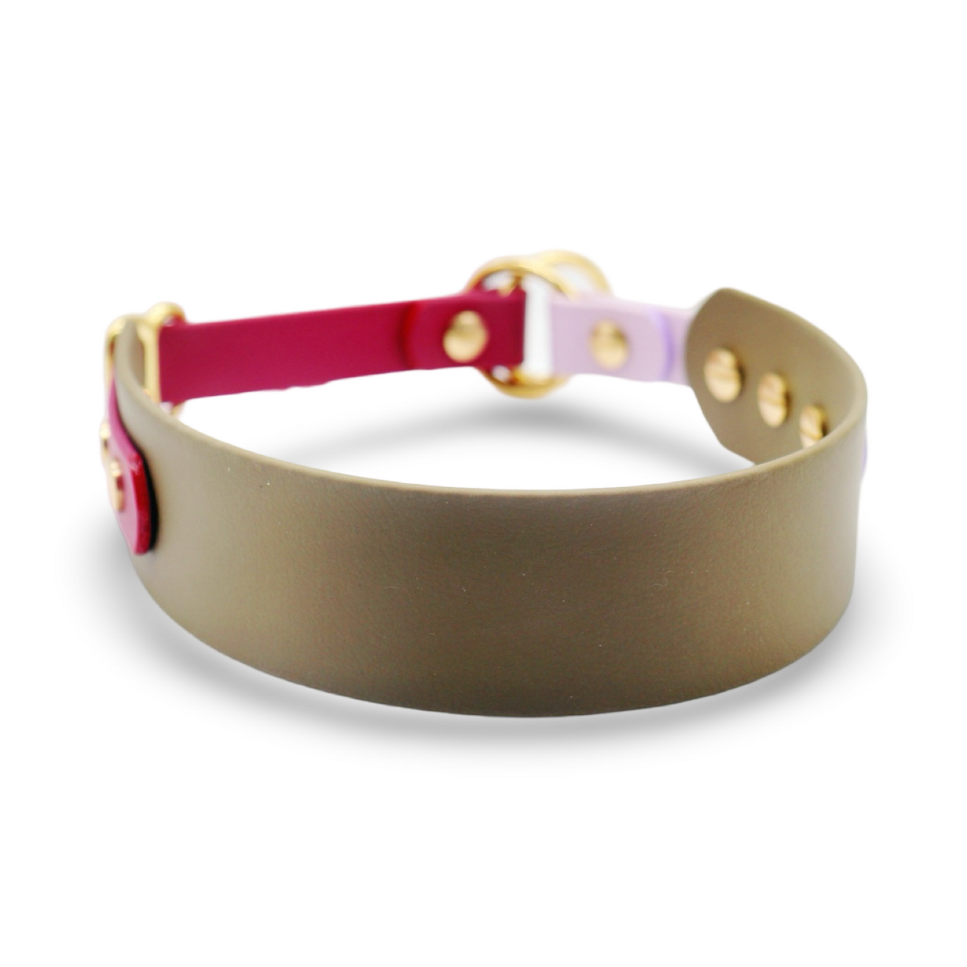 HealthyDog x KAHU Pawfect Match Hundehalsband Biothane "oliv"