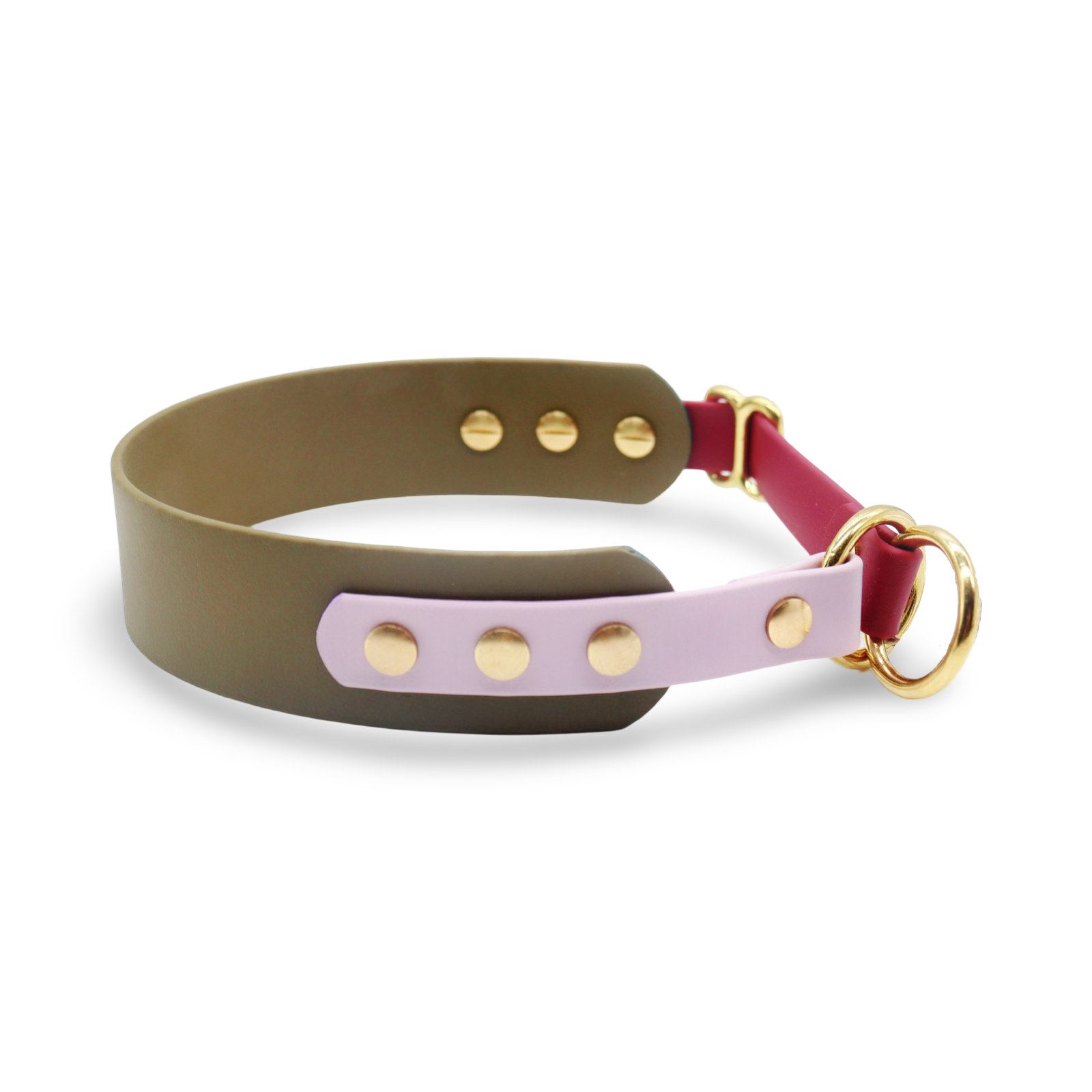 HealthyDog x KAHU Pawfect Match Hundehalsband Biothane "oliv"