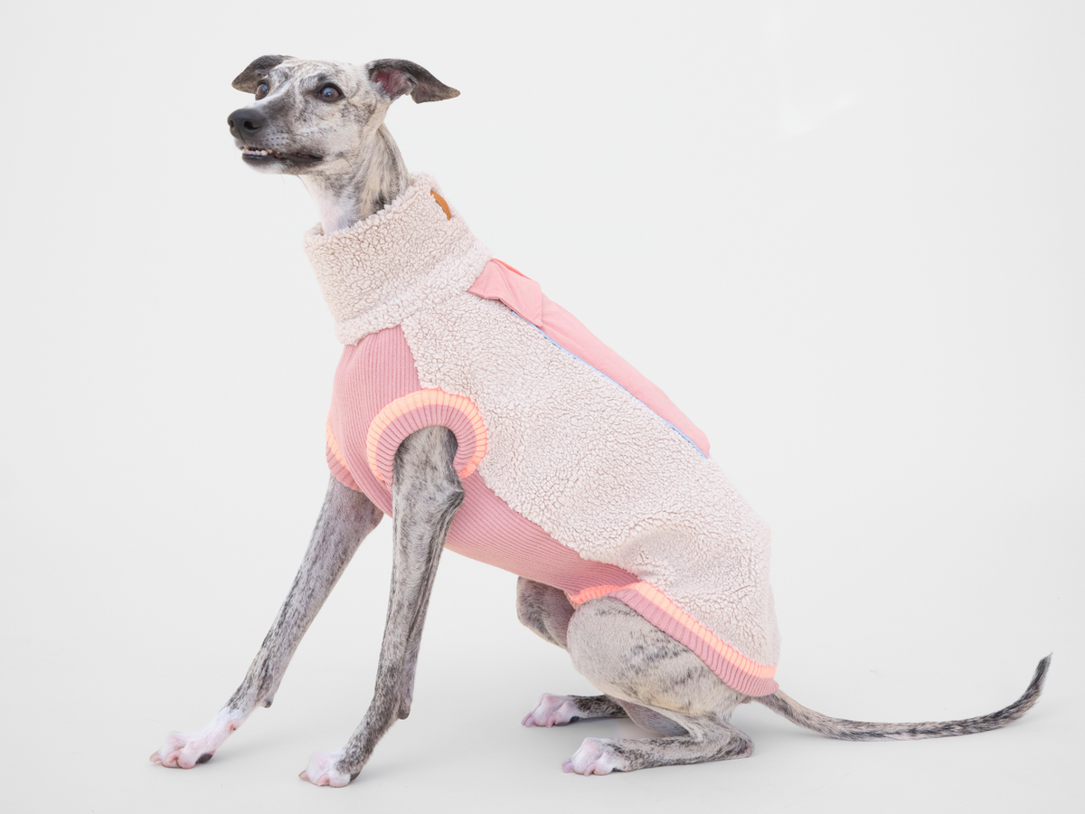 lumiies® Hundepullover warm aus Teddy-Sherpa-Fleece "2 verschiedene Farben"