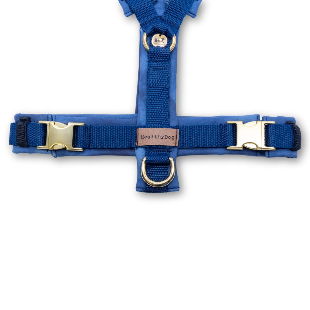 HealthyDog Hundegeschirr blau