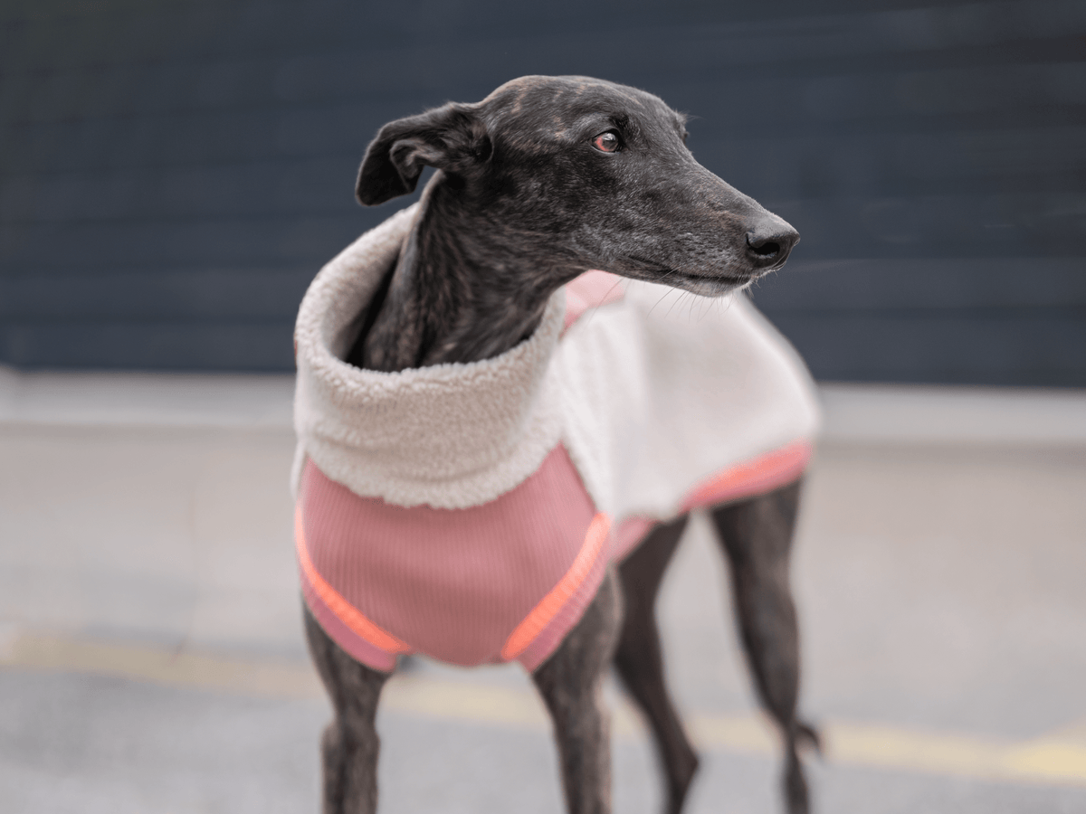 lumiies® Hundepullover warm aus Teddy-Sherpa-Fleece "2 verschiedene Farben"