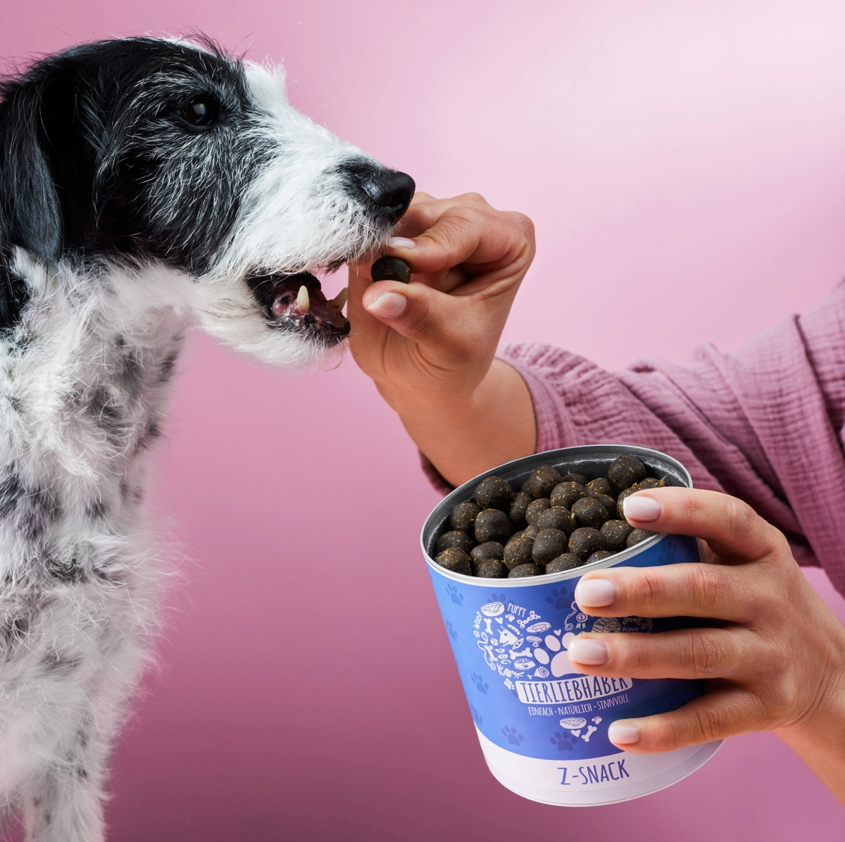 HealthyDog Tierliebhaber Z-Snack