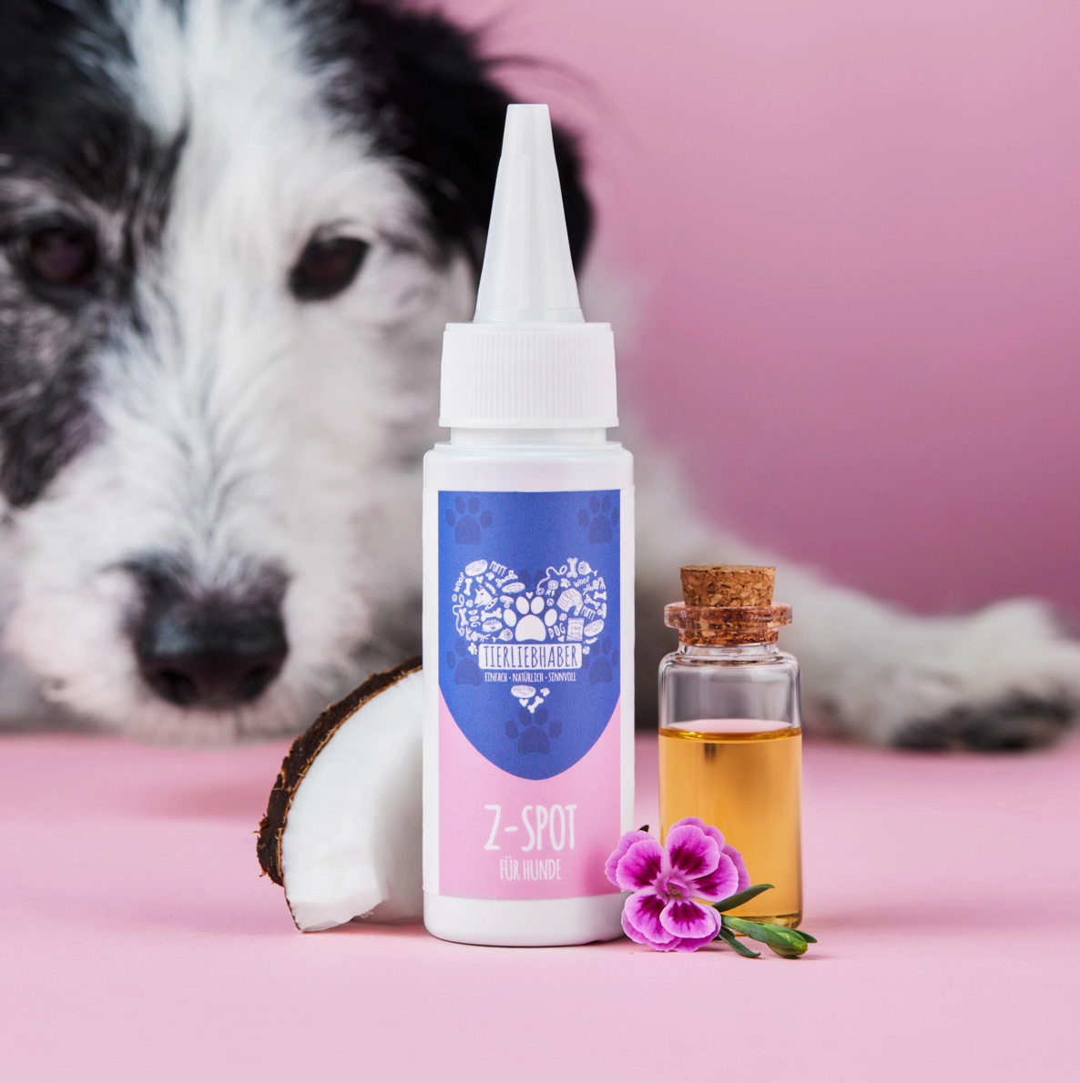 HealthyDog Tierliebhaber Z-Spot