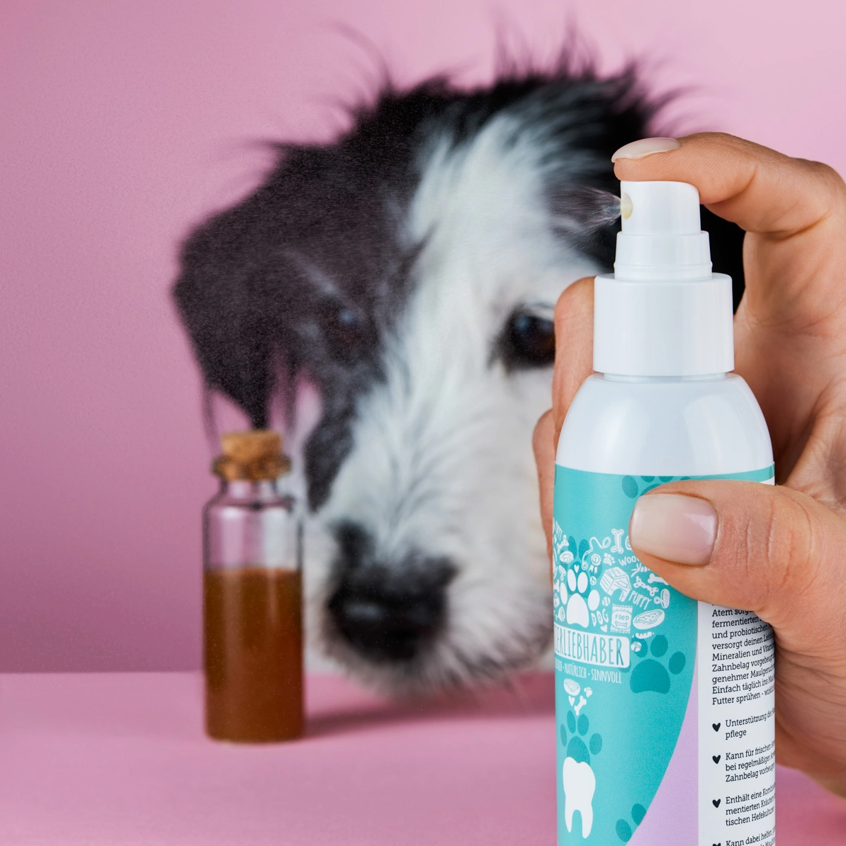 HealthyDog Tierliebhaber Dentalspray