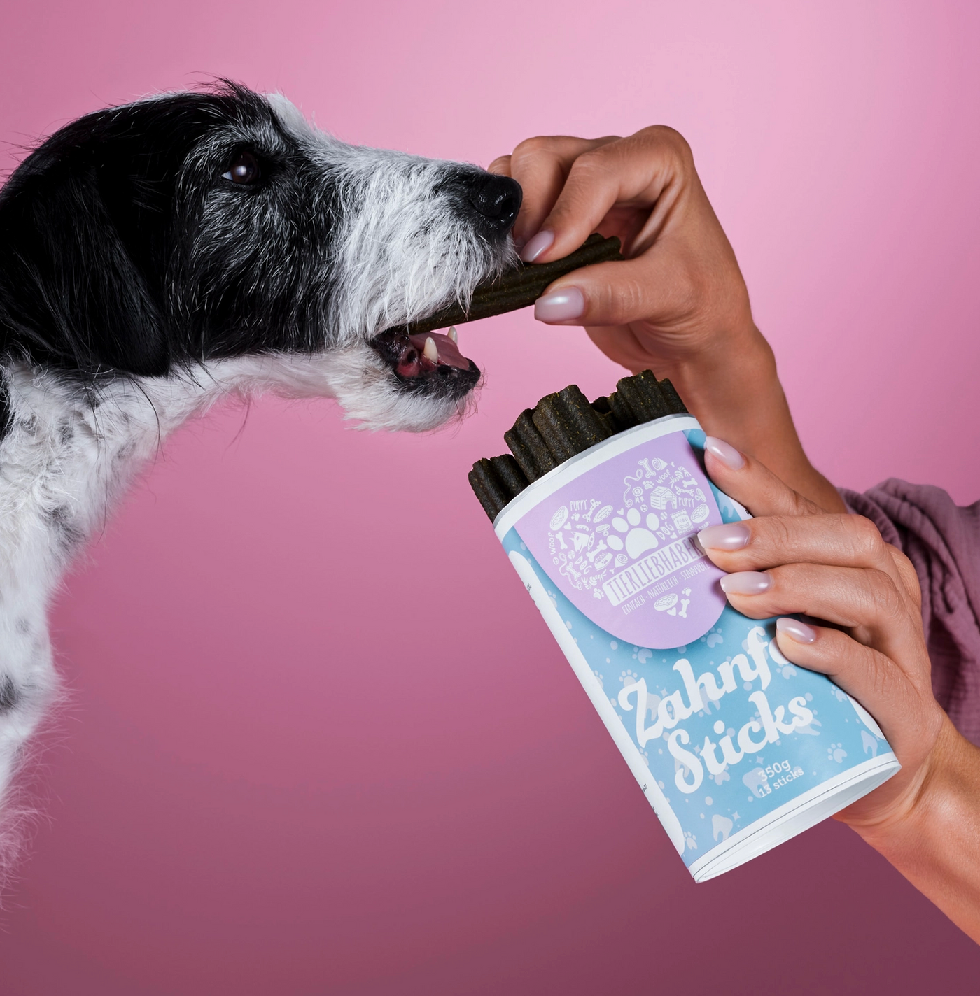 HealthyDog Tierliebhaber Zahnfee Sticks
