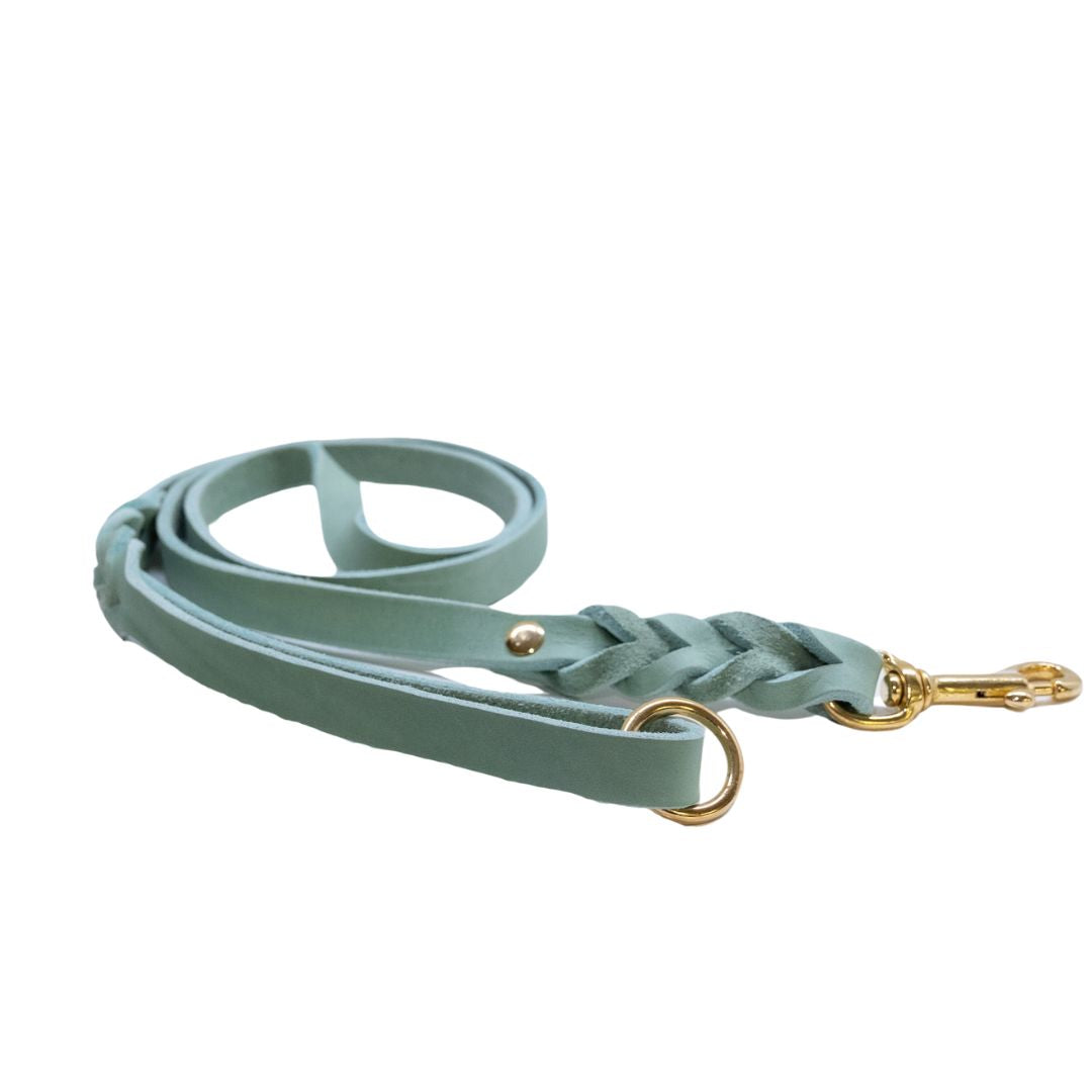 HealthyDog Lederleine mint