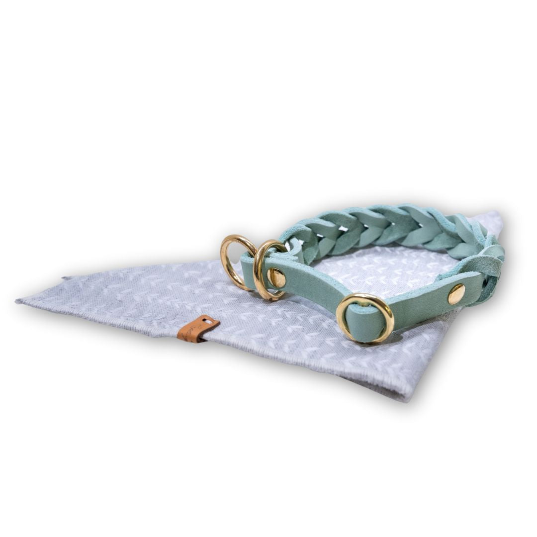 HealthyDog Lederhalsband Zugstop mint