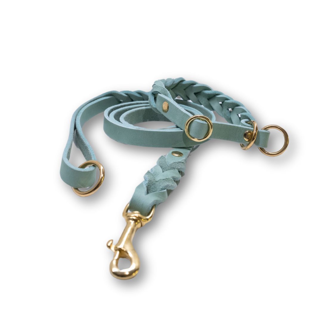 HealthyDog Lederleine und Lederhalsband mint