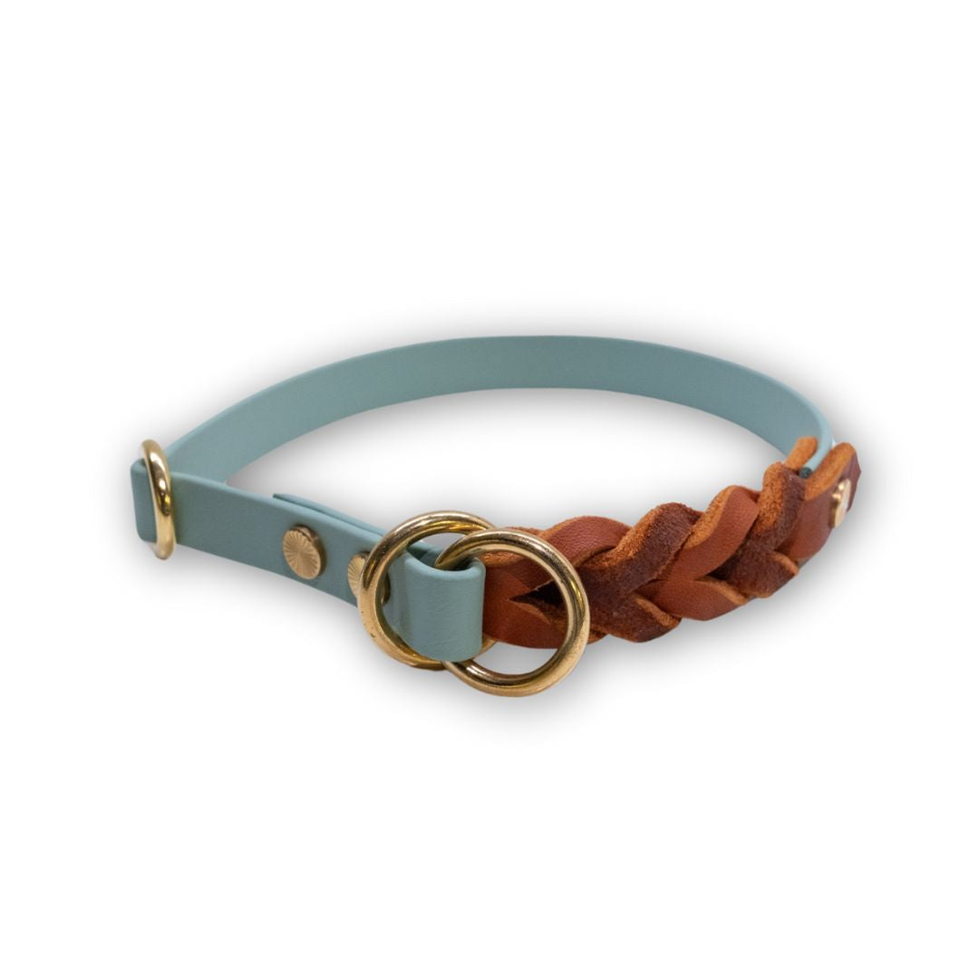 HealthyDog Biothane Halsband mit Leder