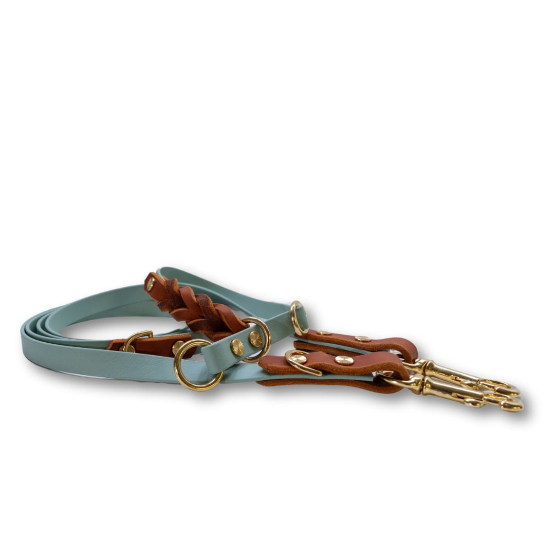 HealthyDog Biothane Leine mit Leder
