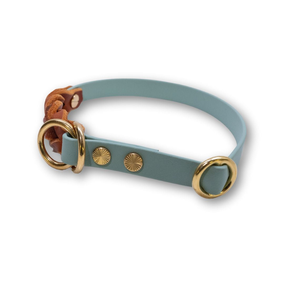 HealthyDog Biothane Halsband mit Leder