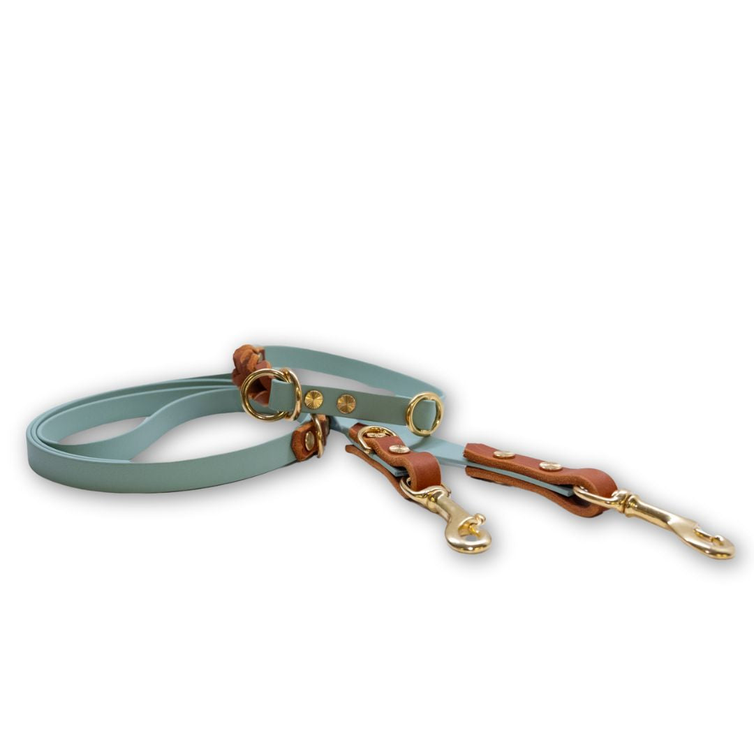 HealthyDog Biothane Leine mit Leder