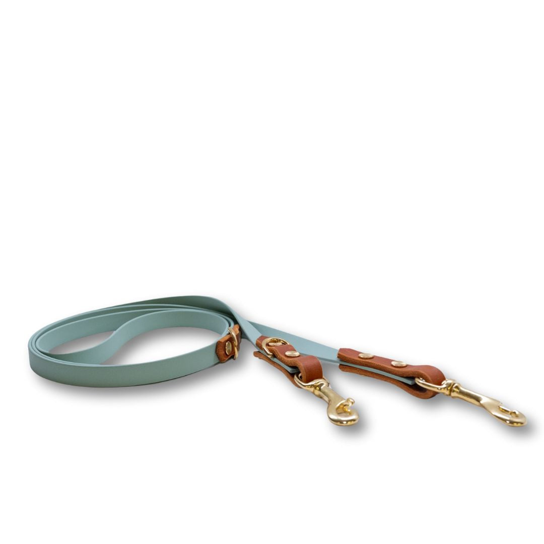 HealthyDog Biothane Leine mit Leder