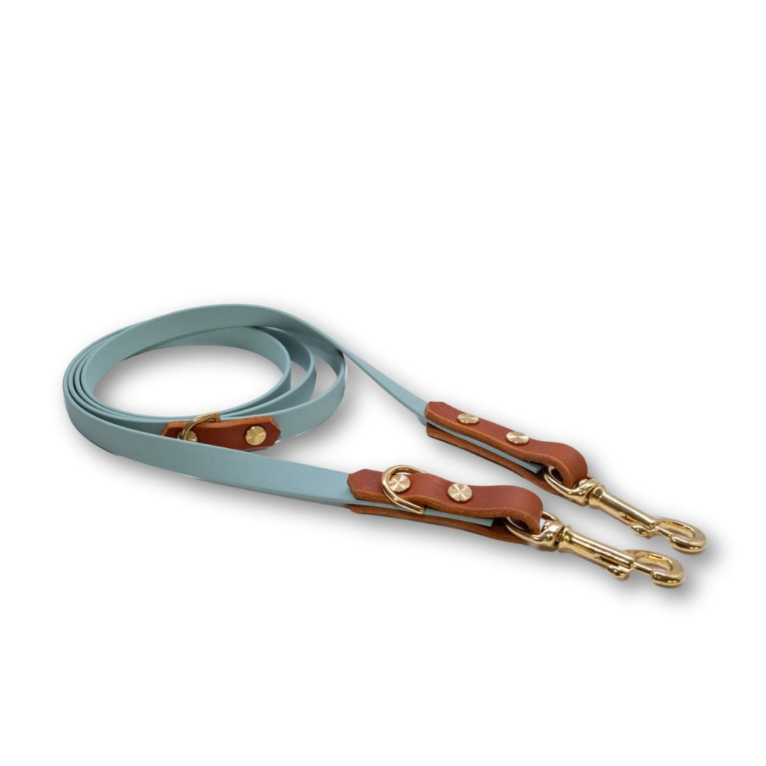 HealthyDog Biothane Leine mit Leder
