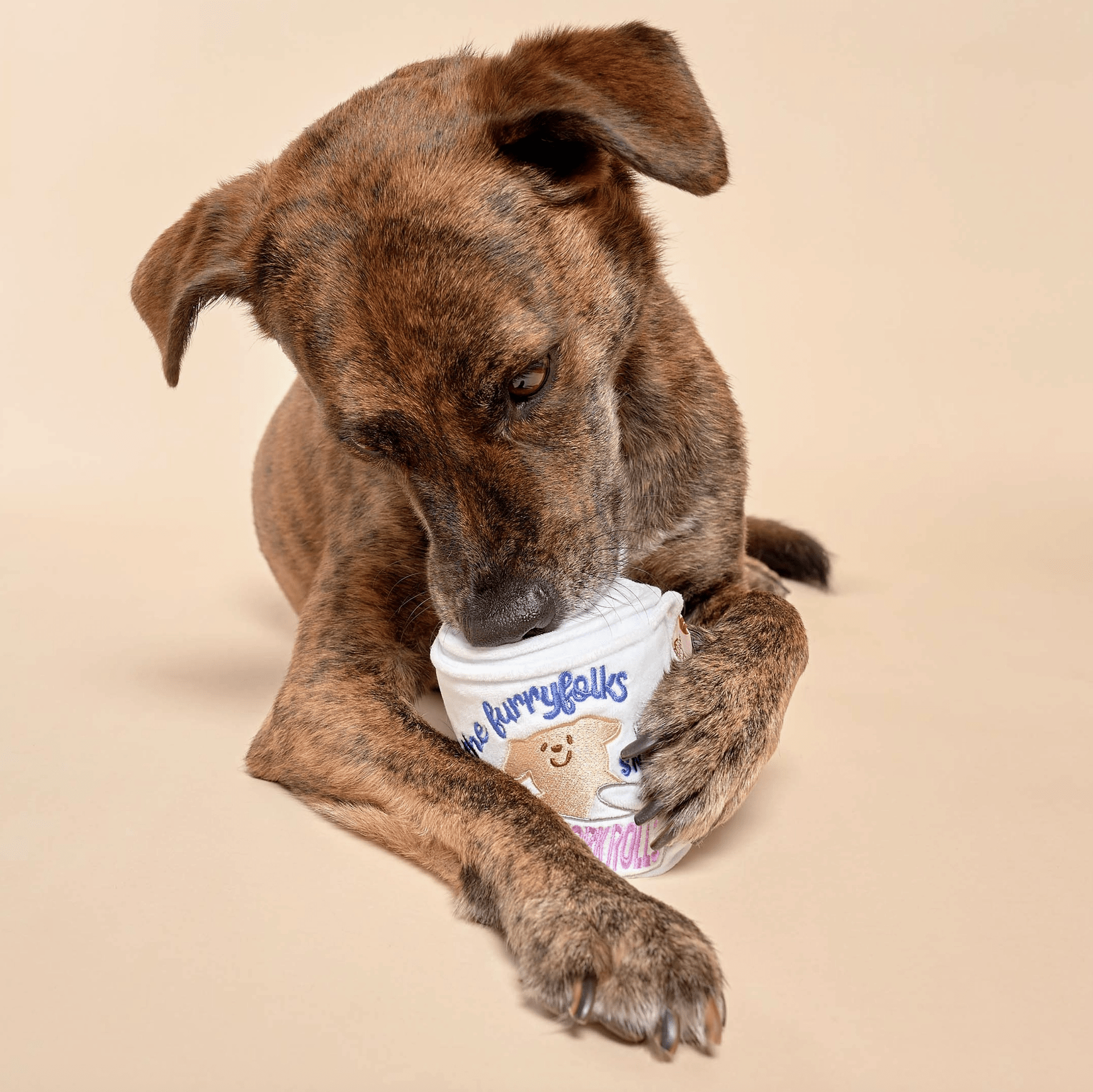 the furryfolks Nasenarbeit Hundespielzeug "Toilettenpapier"