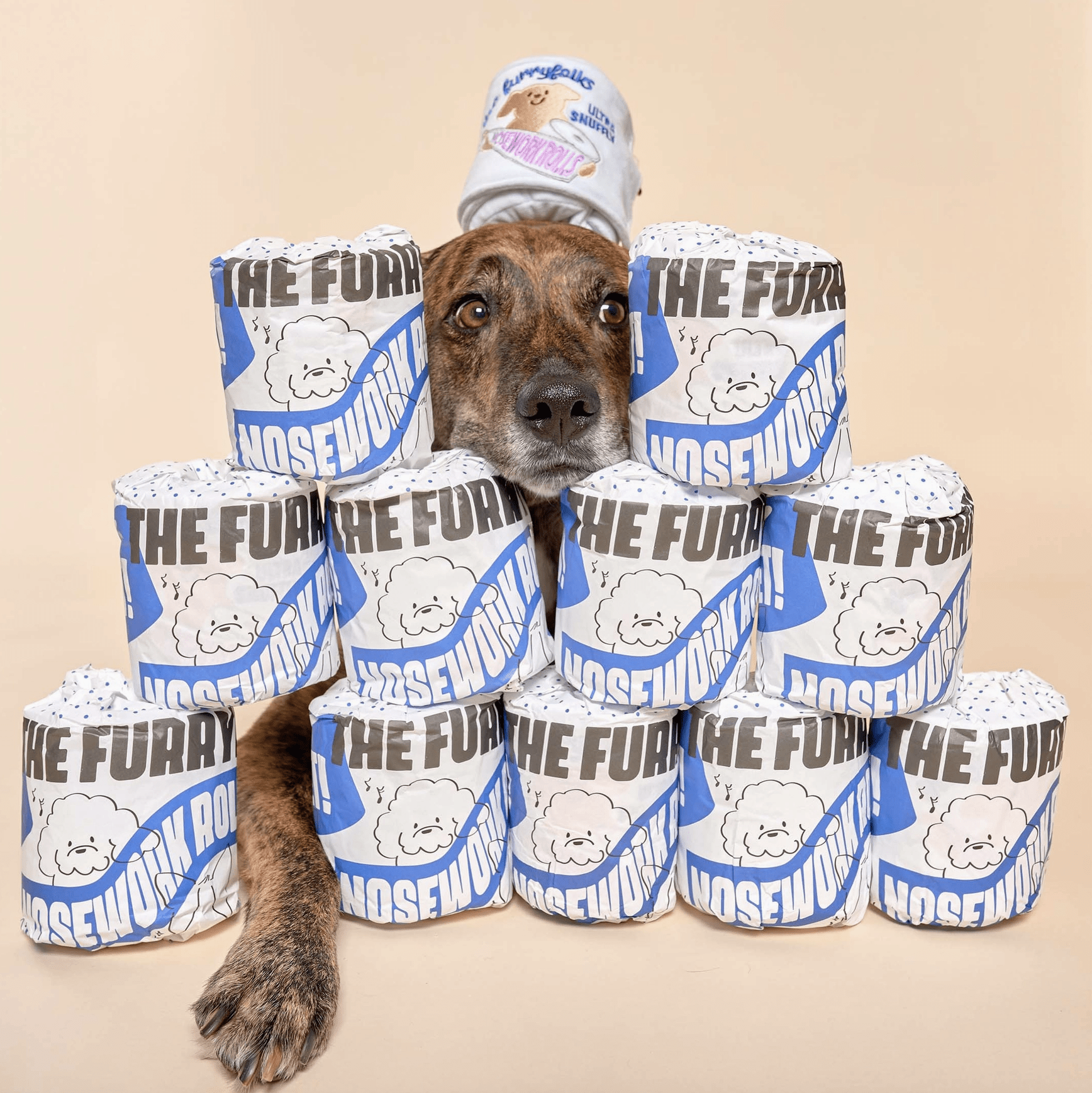 the furryfolks Nasenarbeit Hundespielzeug "Toilettenpapier"
